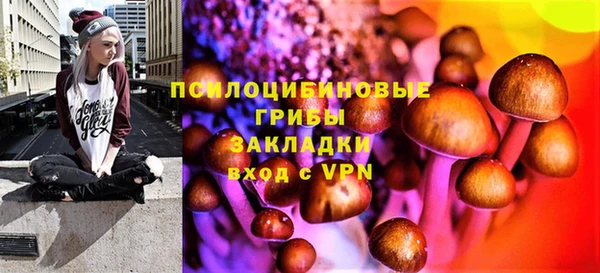 круглые Алзамай