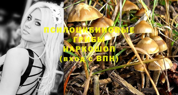 круглые Алзамай