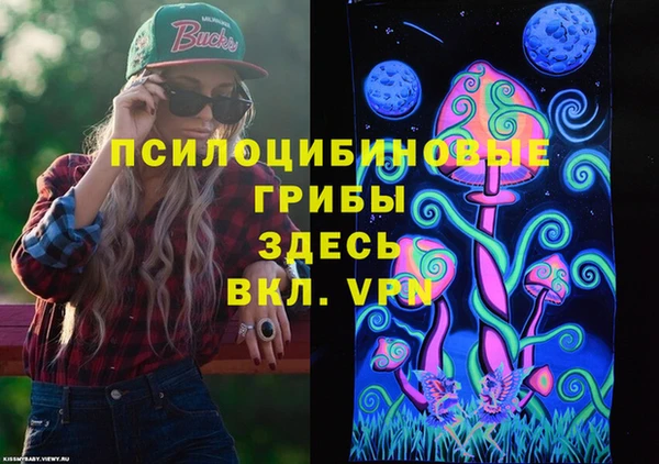 круглые Алзамай