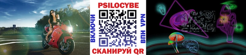 гидра как зайти  Рыбное  Галлюциногенные грибы прущие грибы 